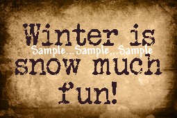 T45 - "Winter is snow much fun!" Sign